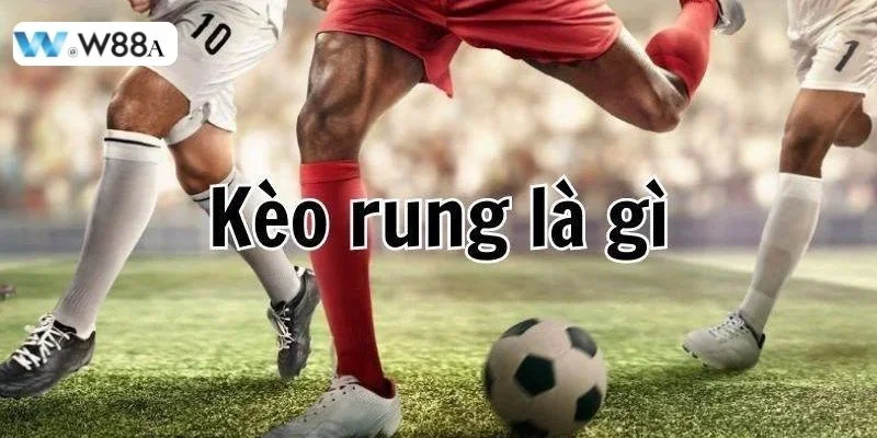 Cách Chơi Kèo Rung Chi Tiết Cho Tân Thủ Nhập Môn Tại W88 2 Cách chơi kèo rung được rất nhiều cược thủ quan tâm tìm hiểu.