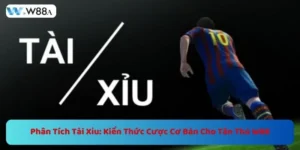 Phân Tích Tài Xỉu: Kiến Thức Cược Cơ Bản Từ W88  3 https://w88a.biz/