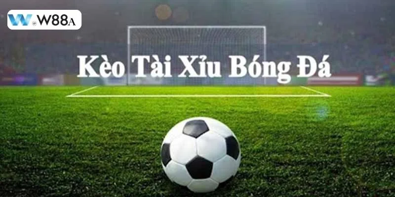 Phân Tích Tài Xỉu: Kiến Thức Cược Cơ Bản Từ W88  2 Kèo cá độ tài xỉu được nhiều tay chơi yêu thích, lựa chọn để cá cược.