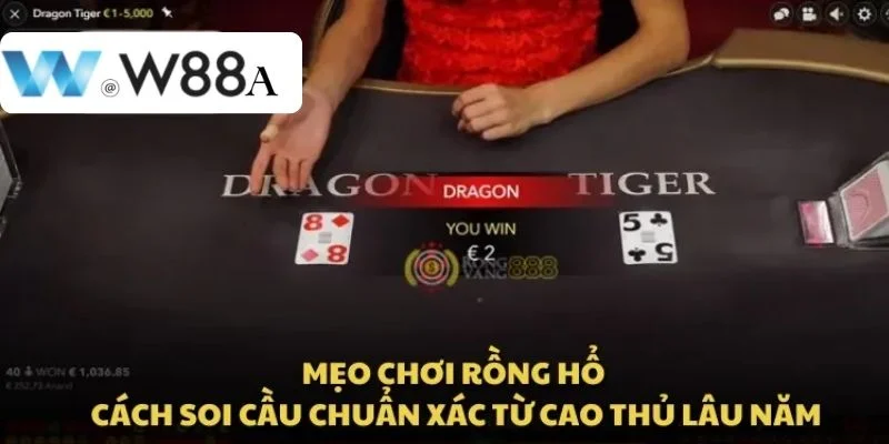 Rồng Hổ W88: Nhập Cuộc Chơi Đơn Giản, Ăn Tiền Cực Đậm 4 Mẹo chơi Rồng hổ giúp cược thủ thắng lớn trên bàn cược.