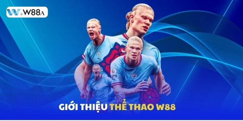 Thể Thao W88: Cá Độ Với Kèo Chơi Bạc Tỷ, Bảo Mật Tuyệt Đối 2 Sảnh chơi thể thao W88 sôi động với hàng ngàn kèo cược.