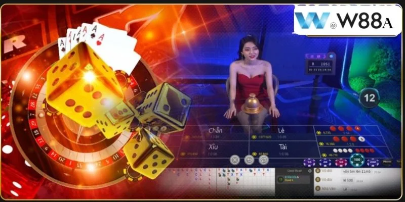 Nhập Môn Xóc Đĩa W88 Tân Thủ Cần Nắm Bắt Điều Gì 2 Xóc đĩa W88 là sân chơi hấp dẫn với hàng nghìn kèo cá độ đỉnh cao.