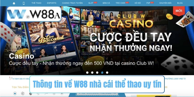 Thông tin về W88 nhà cái thể thao uy tín